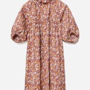 Everlane The Shirred Mini Dress